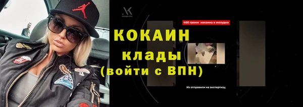 прущий лед Бородино