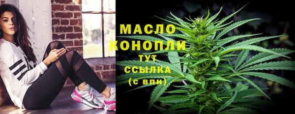 прущий лед Бородино