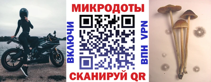 Галлюциногенные грибы ЛСД Оса